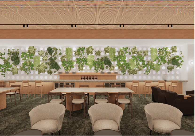 qantas auckland international lounge image 2